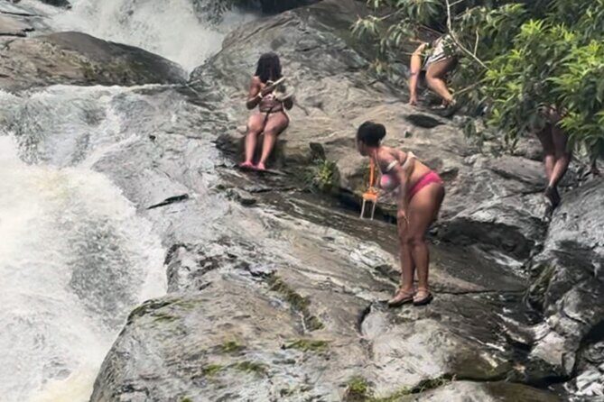 El Yunque Rainforest Party Tour with Waterslide and Rope Swinging - Authentic Experiences and Traveler Insights