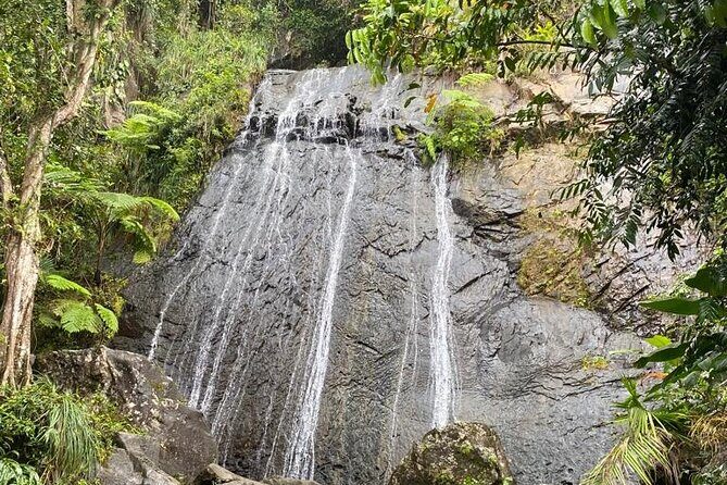 El Yunque Rainforest VIP Experience - Key Points