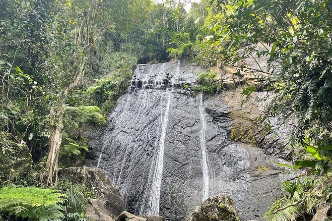 El Yunque Rainforest VIP Experience - Who Is This Tour Best For?