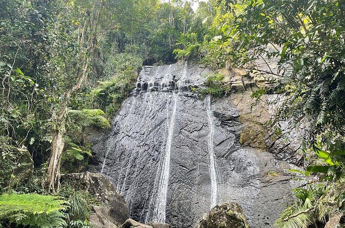 El Yunque Rainforest VIP Experience - FAQs About the El Yunque Rainforest VIP Experience