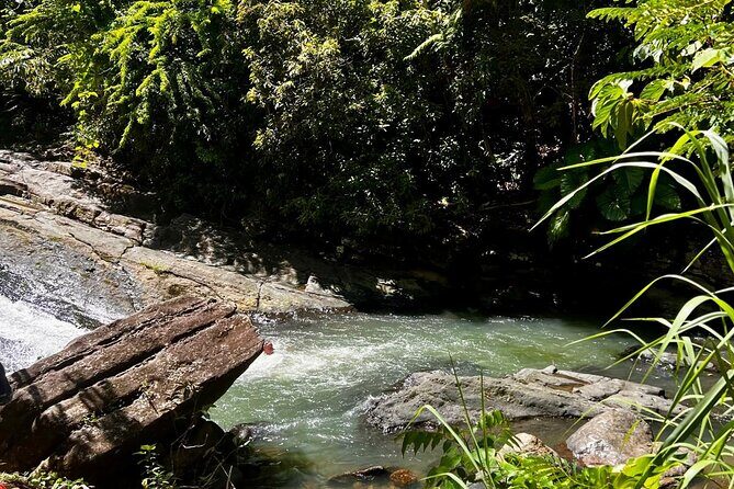 El Yunque Rainforest Waterslides and Luquillo Beach Tour - Who Would Love This Tour?