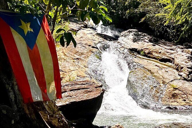 El Yunque Rainforest Waterslides Transport from San Juan - Key Points