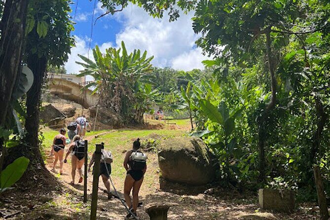 El Yunque Waterslide and Waterfall Tour with Food and Photos - Key Points