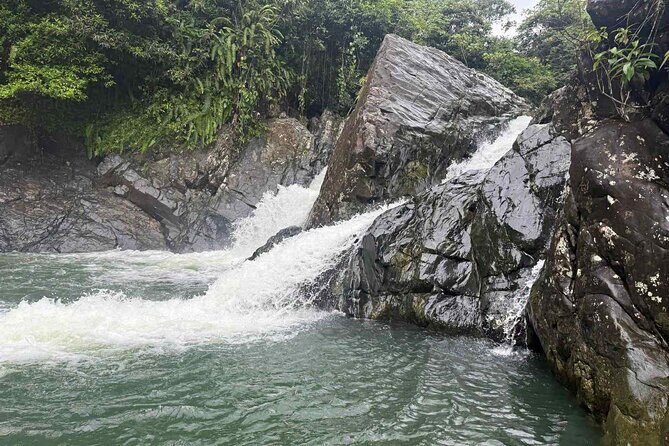 El Yunque Waterslides, Jumps, swing! small business owner:) - Experience the Best of El Yunque’s Rainforest with a Fun and Authentic Waterslide Tour
