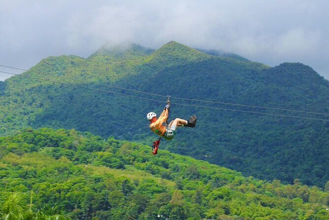 El Yunque Ziplining in Puerto Rico - Key Points