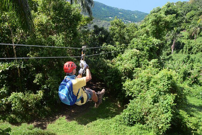 El Yunque Ziplining in Puerto Rico - Who Will Love This Tour?