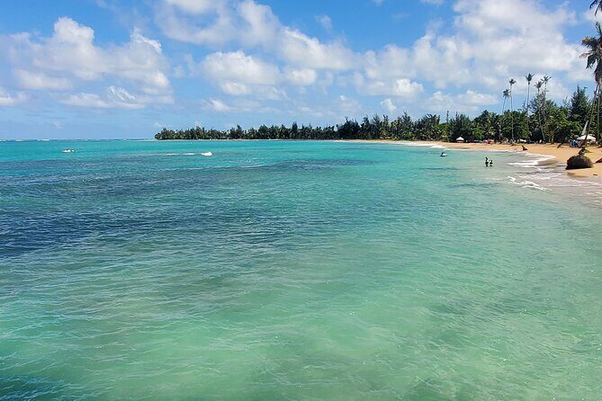 El Yunque Ziplining with River and Beach Visit - What to Expect from the Itinerary