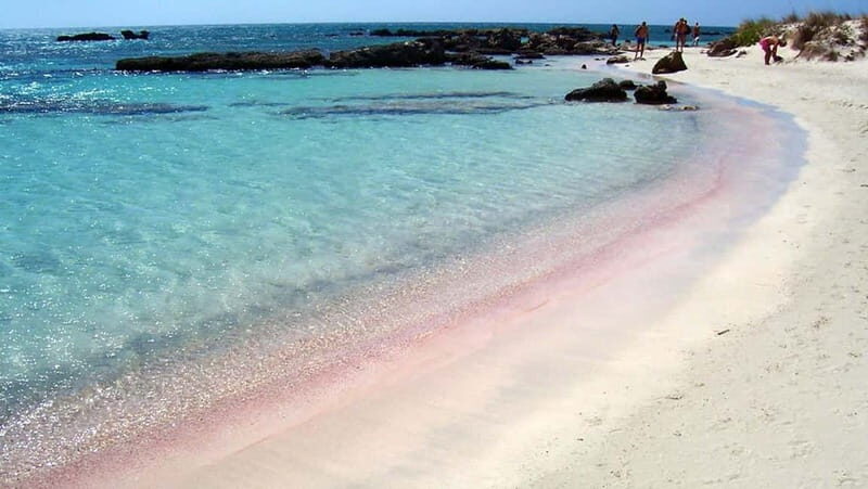 Elafonisi Bay - PINK COLOR SAND BEACH - A Full Breakdown of Your Day at Elafonisi Beach