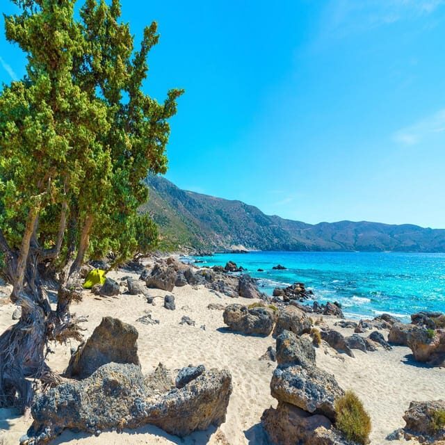 ELAFONISI&BALOS CRUISE:Discovering the Crown Jewels of Crete - A Detailed Review of the ELAFONISI & BALOS CRUISE