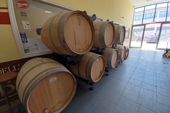 Elba Bike Tour with Beer Tasting from Portoferraio - Exploring Elba by E-Bike: An Authentic and Scenic Experience