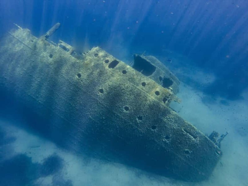 Elba Island boat trip to the Elviscot wreck - Final Thoughts: Is It Worth It?