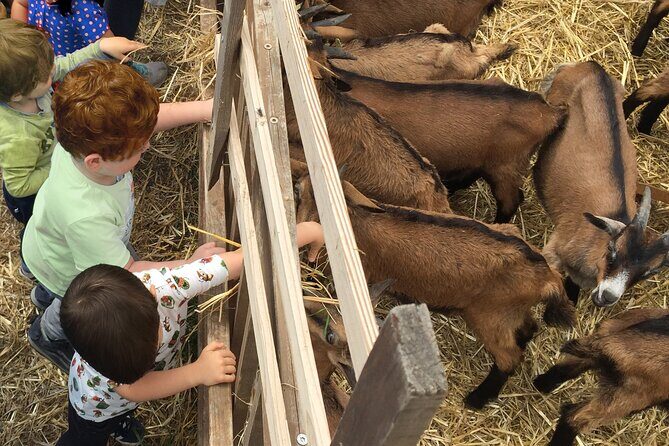 Elba Island Farmhouse tasting experience - Key Points