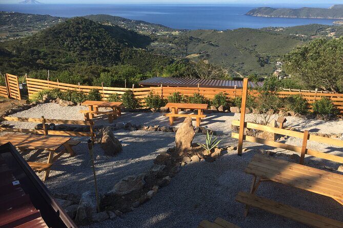 Elba Island Farmhouse tasting experience - Who Should Consider This Tour?