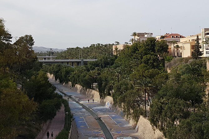 Elche, UNESCO Heritage Sites and museums - The Inside Scoop on Elche’s Best Sights