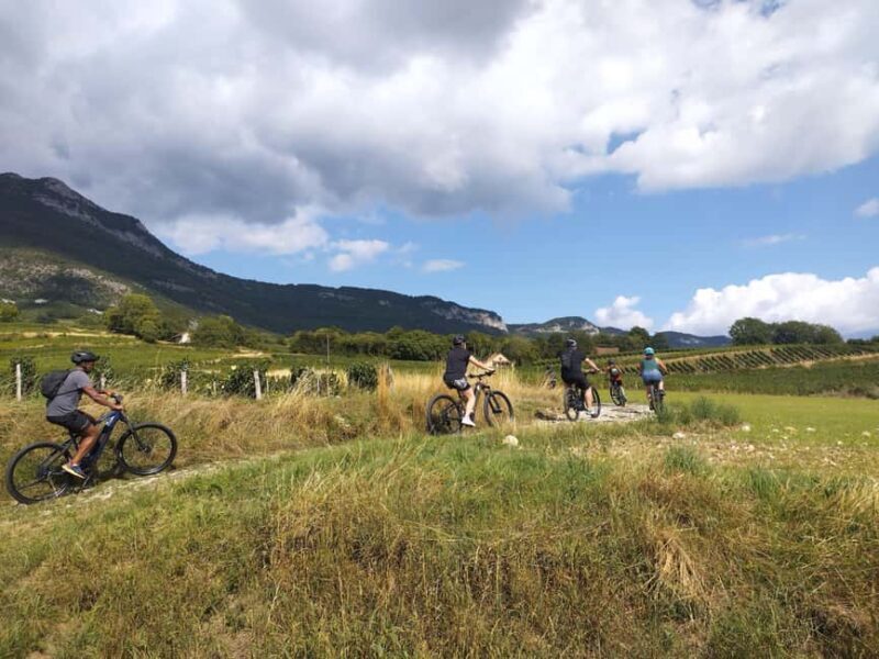 Electric-assisted mountain biking - Discover the Rhône Valley on Electric-Assisted Mountain Bikes