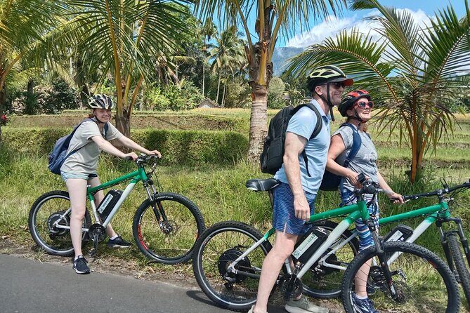 Electric bicycle tour in Jatiluwih UNESCO site - Discovering Bali’s UNESCO-Listed Rice Terraces on an E-Bike