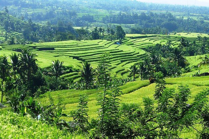 Electric bicycle tour in Jatiluwih UNESCO site - Detailed Itinerary Breakdown