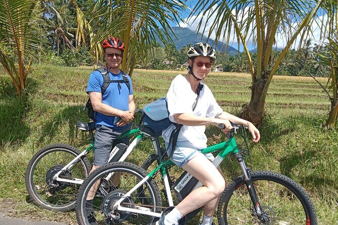 Electric bicycle tour in Jatiluwih UNESCO site - Who Should Consider This Tour?