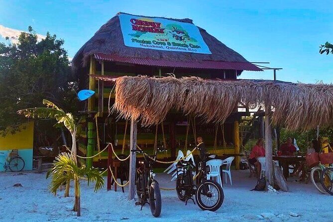 Electric Bike Adventure - An In-Depth Look at the Electric Bike Adventure