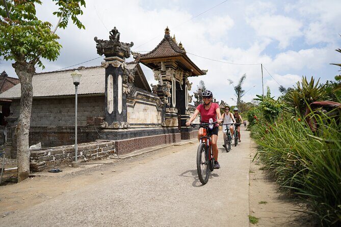 Electric Bike and Swing Package - The Heart of the Tour: A Deep Dive into the Experience