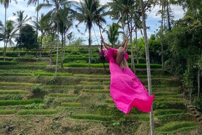 Electric Bike and Swing Package - What the Reviews Say: Authentic Praise and Highlights