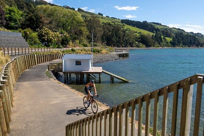 Electric Bike Rental - Discovering Dunedin and Otago Peninsula on Two Wheels
