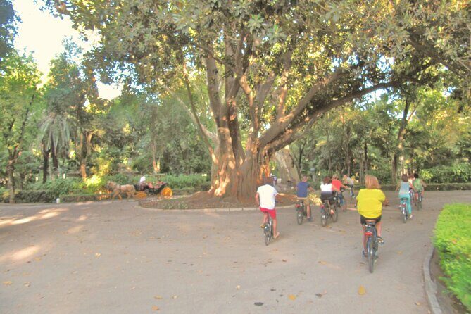 Electric Bike Rental 3 hours - An In-Depth Look at the Electric Bike Rental Experience in Seville