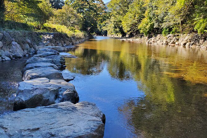 Electric Bike Rental or Tuktuk Tour in Ise - Who Is This Tour Best For?
