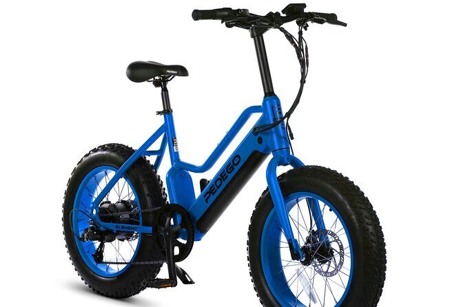 Electric Bike Rentals - The Sum Up: Who Should Consider This Experience?