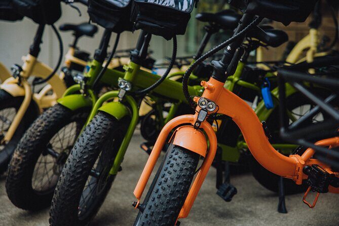 Electric Bike Rentals Waikiki: Honolulu E- Bike Rentals - The Sum Up: Who Will Love This E-Bike Experience?