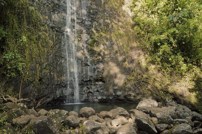 Electric Bike Ride & Manoa Falls Hike Tour - An Inviting Look at the Electric Bike Ride & Manoa Falls Hike Tour