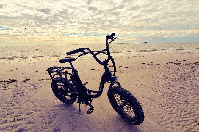 Electric Bike Wildlife & History Tour along Fort De Soto's Beaches - Final Thoughts