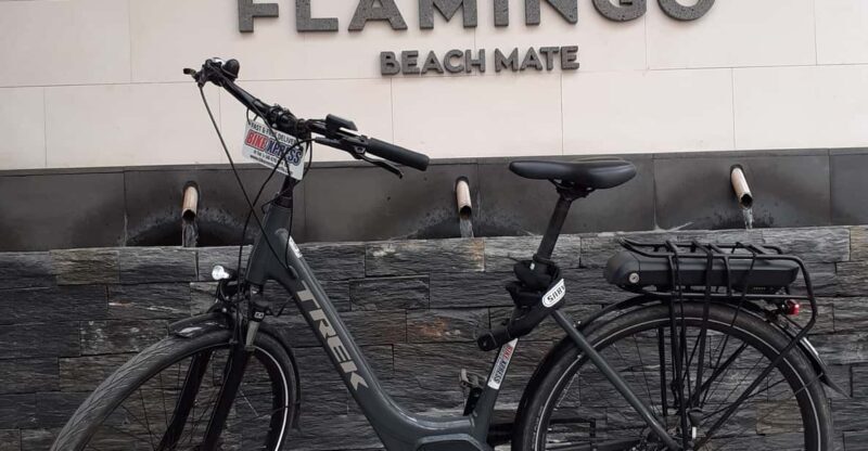 Electric City Bike Rental with Hotel Delivery - Authenticity and Value