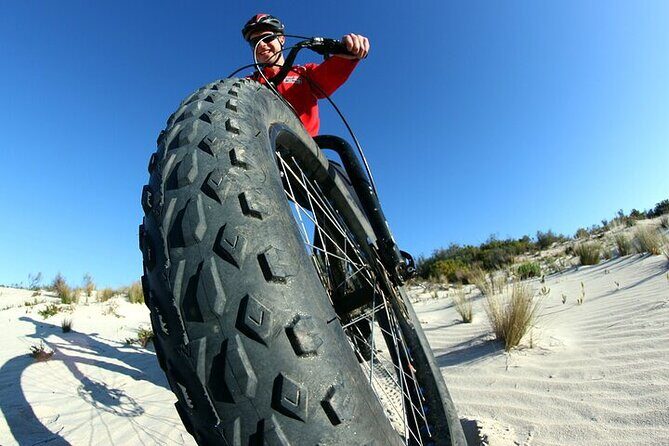 Electric Fat Bike Tour in Kangaroo Island - Key Points