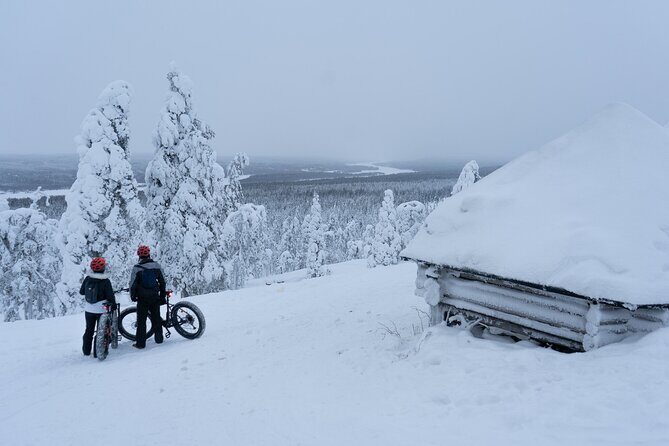 Electric Fatbike Tour in Winter - Experience the Arctic Adventure: Electric Fatbike Tour in Rovaniemi