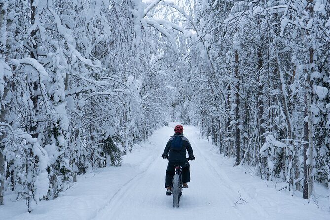 Electric Fatbike Tour in Winter - Key Points