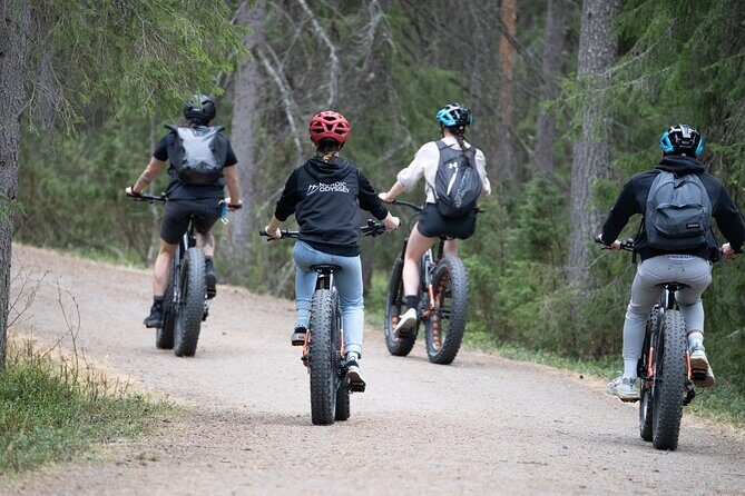 Electric Fatbike Trip to the Reindeer Farm - Key Points