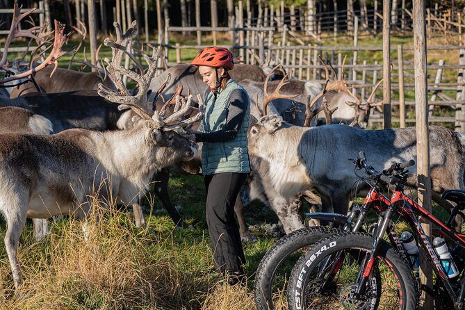 Electric Fatbike Trip to the Reindeer Farm - Who Will Love This Tour?