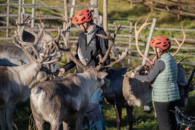Electric Fatbike Trip to the Reindeer Farm - FAQs