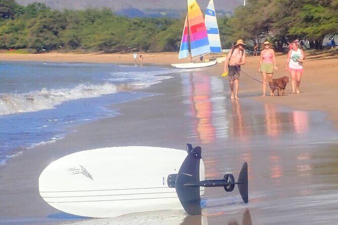 Electric Foilboard rides/lessons/sessions at Sugar Beach, Maui - Detailed Review of the Maui Electric Foilboard Experience
