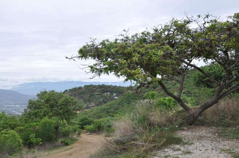 Electric Mountain bike in Oaxaca - An Authentic, Balanced Take on the Oaxaca Electric Mountain Bike Tour