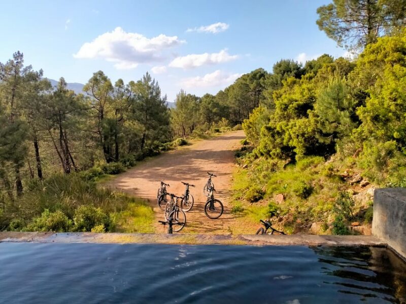 Electric mountain bike in Sierra de las Nieves national park - Authentic Experience and Wildlife