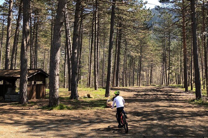 Electric Mountain Bike Rental in Bobbio - A Scenic Ride Through Val Trebbia on an Electric Bike