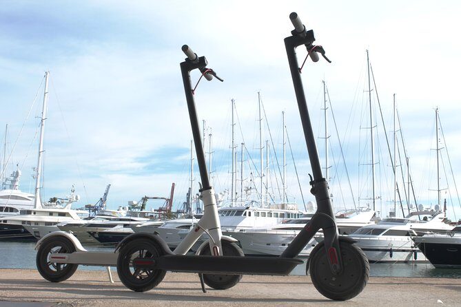 Electric Scooter Rental - Authentic Traveler Perspectives