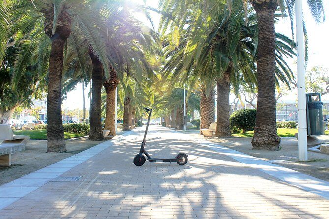 Electric Scooter Rental - The Sum Up