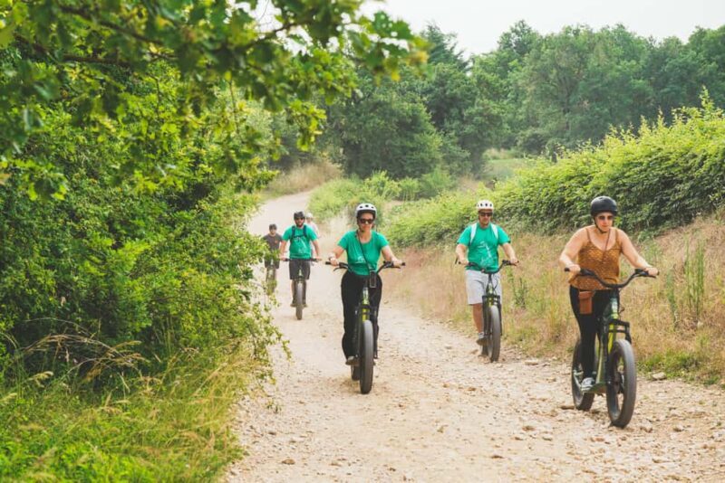 Electric scooter tour and wine tasting at Château de Chamirey - An Authentic Burgundy Experience on Two Wheels