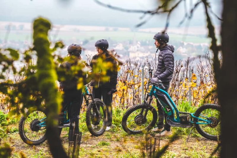 Electric scooter tour and wine tasting at Château de Chamirey - Who Should Consider This Tour?