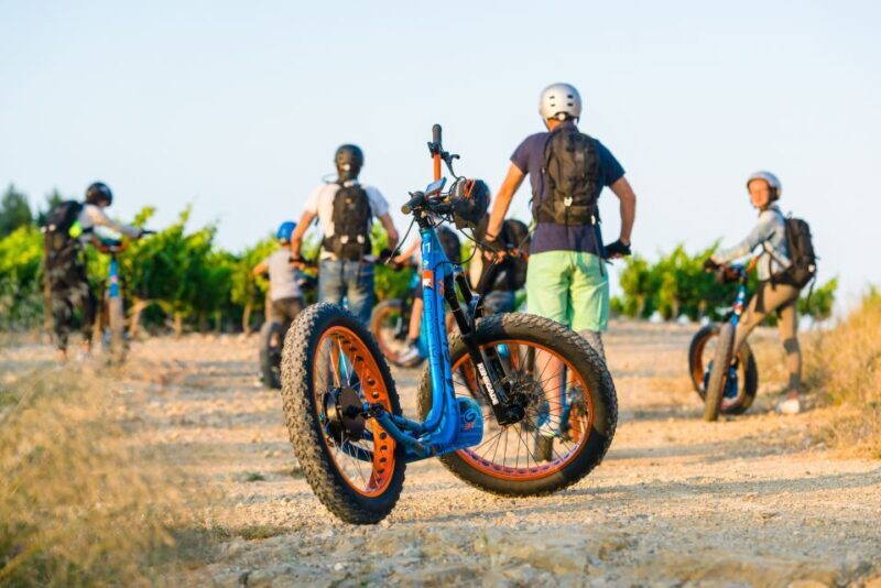 Electric Scooter Tour of our vineyard and Wine Tasting - Why This Tour Offers Great Value