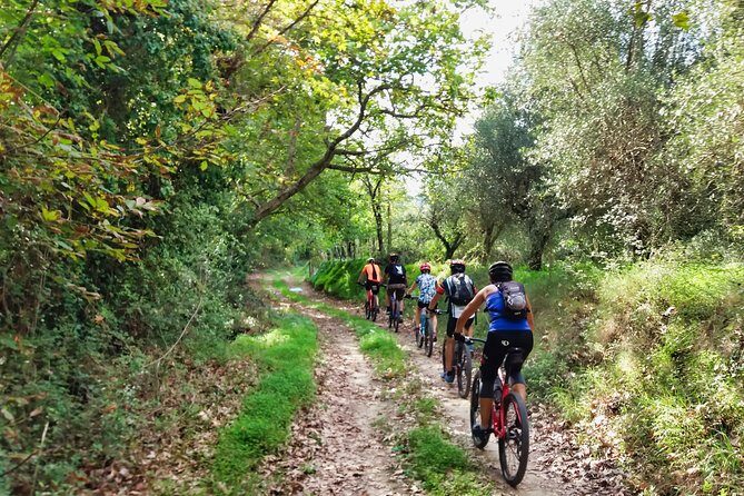 Eleftherna E-Bike and MTB Tour - Experience The Authentic Crete - Exploring the Crete Wilderness on Two Wheels