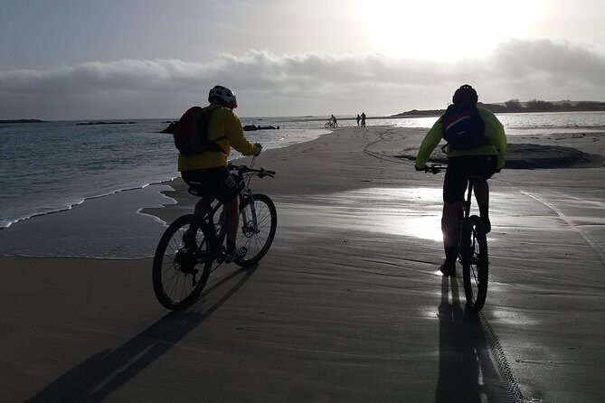 Eleftherna E-Bike and MTB Tour - Experience The Authentic Crete - The Sum Up: Why This Tour Is a Great Choice